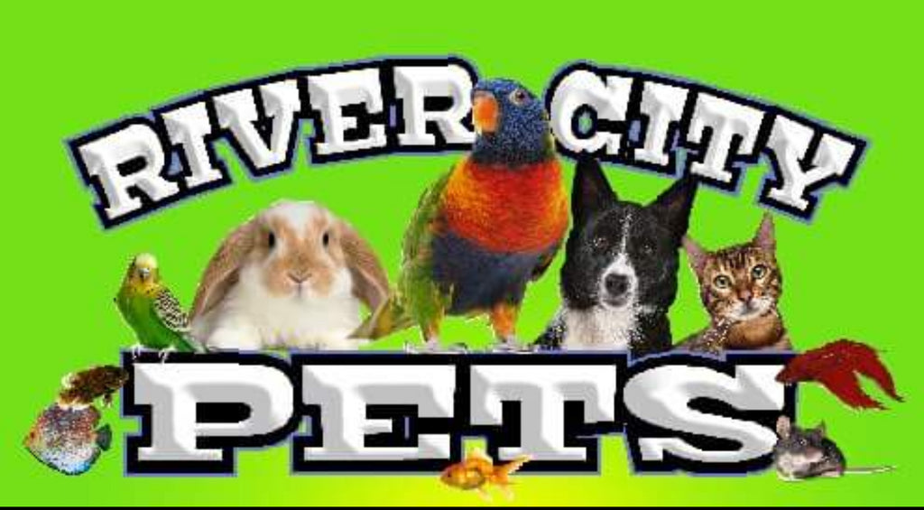 City pets deals