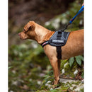 EZYDOG CONVERT HARNESS CHARCOAL
