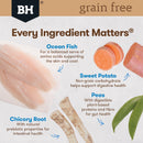 BLACK HAWK PUPPY GRAIN FREE OCEAN FISH