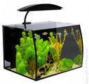 AQUA ONE ARC 30 GLASS AQUARIUM BLACK