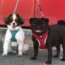 HUSKIMO EASYFIT HARNESS ULURU