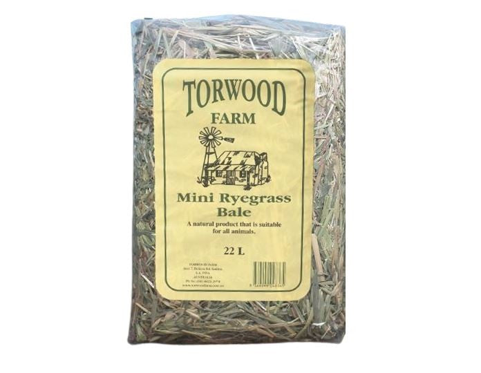 TORWOOD FARM MINI RYEGRASS BALE 22L