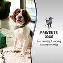 NATURES MIRACLE FOR DOGS NO MORE MARKING SPRAY