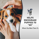 NATURES MIRACLE FOR DOGS PUPPY POTTY TRAINING SPRAY 473ML