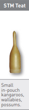 TEAT LATEX STM