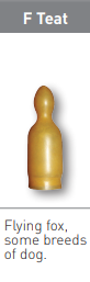 TEAT LATEX F