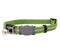 ROGZ ALLEYCAT SAFELOC COLLAR LIME [Sz:Extra Small]