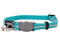ROGZ ALLEYCAT SAFELOC COLLAR TEAL [Sz:Extra Small]