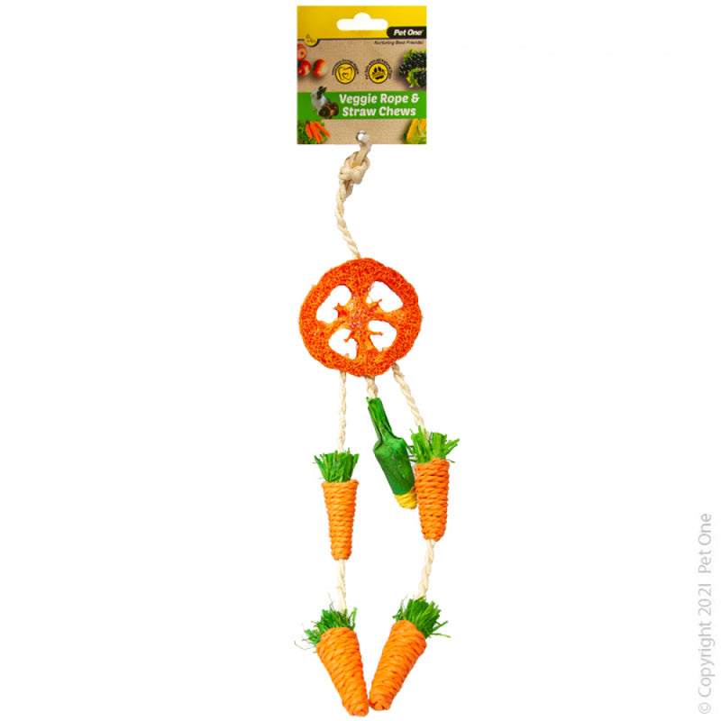 PET ONE VEGGIE ROPE & STRAW CHEW HANGING DREAMCATCHER