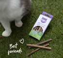 KAZOO KITTY SILVERVINE DENTAL CHEWS 10PK