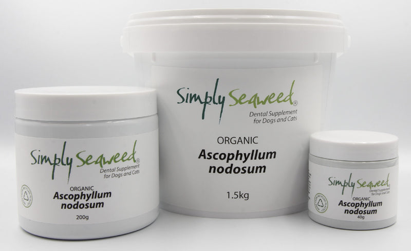 SIMPLY SEAWEED DENTAL SUPPLEMENT FOR DOGS AND CATS [Sz:40g]