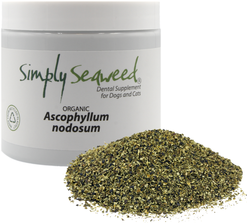 SIMPLY SEAWEED DENTAL SUPPLEMENT FOR DOGS AND CATS [Sz:40g]