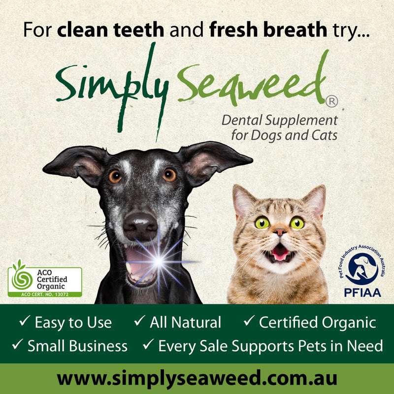 SIMPLY SEAWEED DENTAL SUPPLEMENT FOR DOGS AND CATS [Sz:40g]