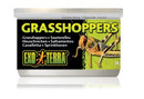 EXO TERRA GRASSHOPPERS 34G