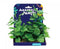 AMAZON JUNGLE ANUBIUS PLASTIC PLANT DISPLAY 15CM