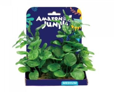 AMAZON JUNGLE ANUBIUS PLASTIC PLANT DISPLAY 15CM