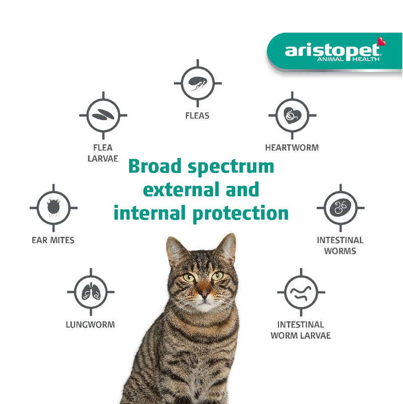 ARISTOPET SPOT ON CATS OVER 4KG