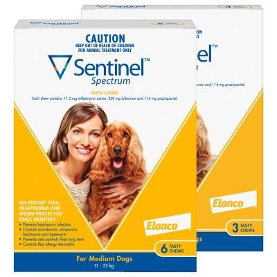 SENTINEL SPECTRUM CHEW FOR DOGS 11-22KG