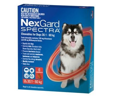 NEXGARD SPECTRA DOG 30.1-60KG