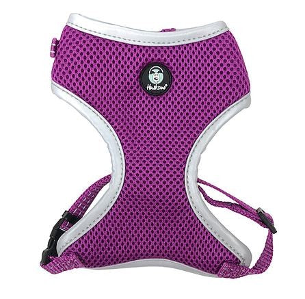 HUSKIMO EASYFIT HARNESS AURORA