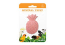 AVIAN CARE MINERAL STONE PINEAPPLE