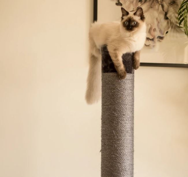KAZOO LARGE CAT SCRATCH POST CHARCOAL