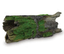 KAZOO DRIFTWOOD WITH TEXTURED MOSS LARGE