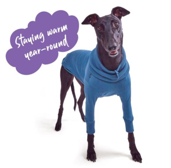 GREYHOUND KNIT BONDI JUMPER