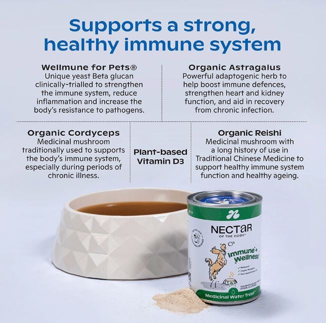 NECTAR OF THE DOGS IMMUNE & WELLNESS 150G